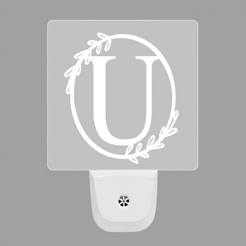 走廊插电式LED夜灯